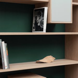 bibliothèque design mixage 100 en chene massif Drugeot manufacture L'INATELIER détail rangement étagère et case fermée avec fond vert