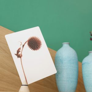 Pinces_i-cone_toutsimplement_linatelier_nantes_lot de 3 pinces pour photo ou cadre_hetre_madeinfrance_ noir_ mise en scene