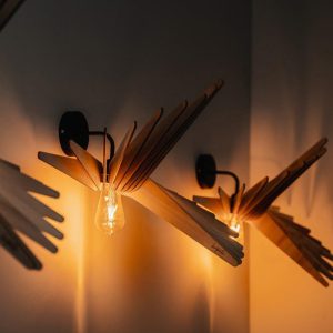 applique en bois albatros