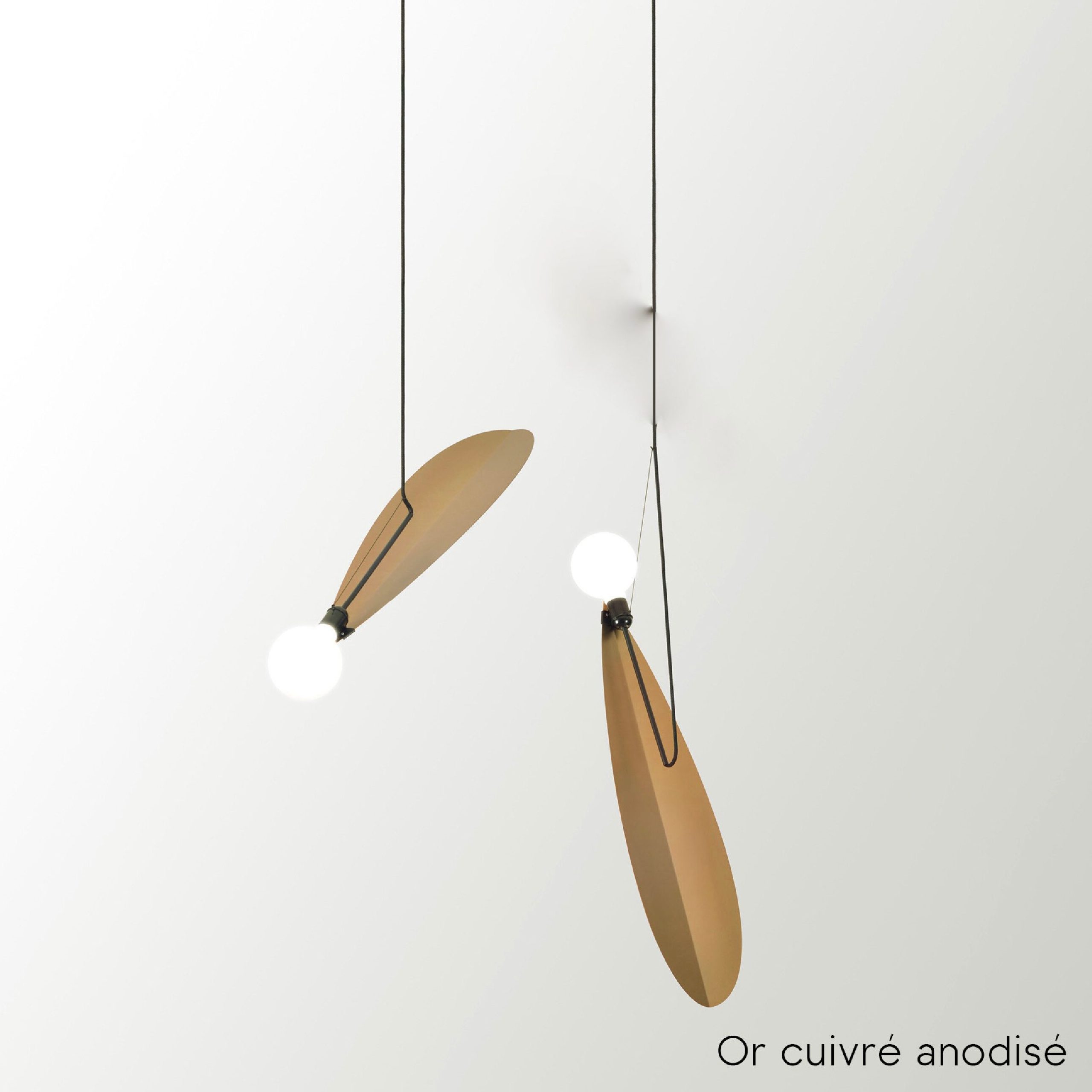 DUO Suspension Samare