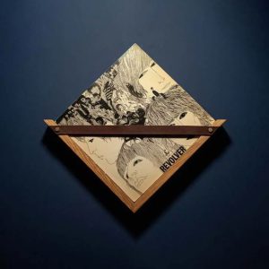 rangement vinyles mural