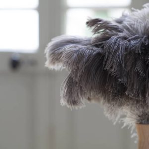 plumeau à poussière andrée jardin hêtre