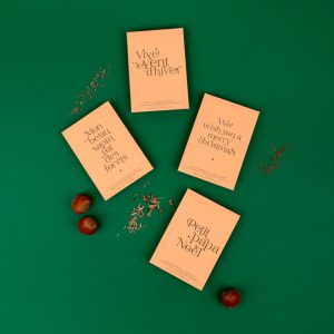 Joyeuses fêtes- carte de voeux - graine à planter- fête - carte cadeau-kraft- naturel-made in france-hiver
