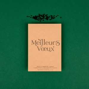 Meilleurs voeux- carte de voeux-graine à planter-fête-cadeau de table-kraft- naturel-fabrication française2