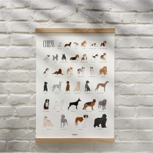 Affiche-chiens-papier d'art-texturé-position-sport-memory-50x70cm-déco-nantes