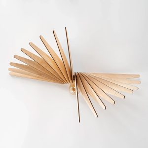 applique en bois albatros